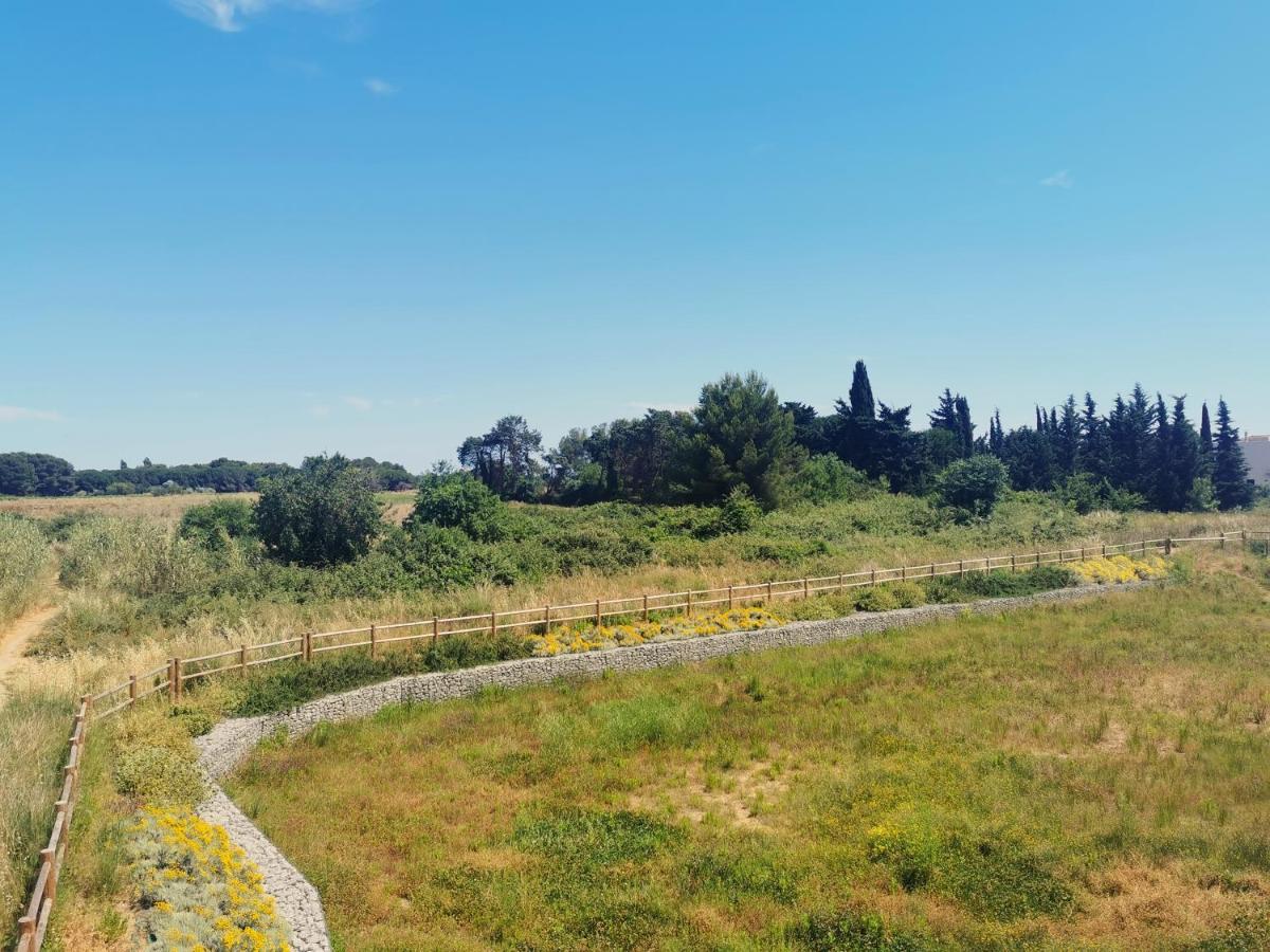 La Dolce Vita Aux Portes De Montpellier Villeneuve-lès-Maguelonne Kültér fotó